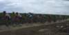 dsc07255_small.jpg